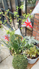 Load image into Gallery viewer, Hand block printed Coronation Bunting
